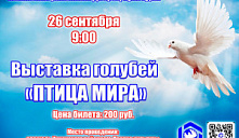 Выставка голубей «Птица мира»