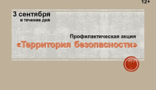 Профилактическая акция «Территория безопасности»
