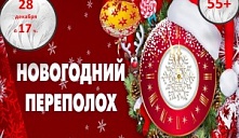 Программа «Новогодний переполох»