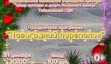 Новогодняя программа "Новогодний переполох"