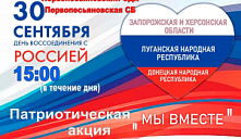 Патриотическая акция «Мы вместе»