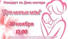 Праздничный концерт «Для милых мама!»