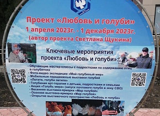 Проект «Любовь и голуби»